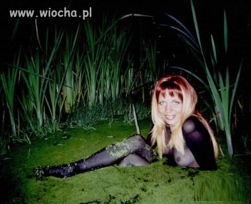 Takie tam nocą w szuwarach z wodnikiem