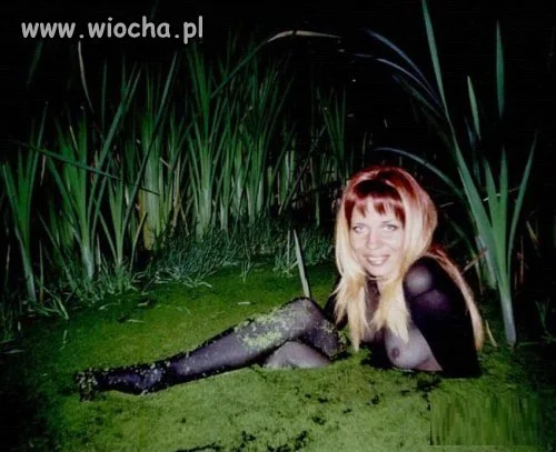 Takie tam nocą w szuwarach z wodnikiem