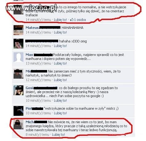 Marihuana nie jest rośliną tylko ...