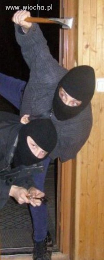 Wojownicy ninja...
