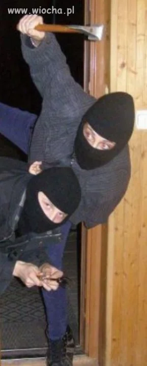 Wojownicy ninja...