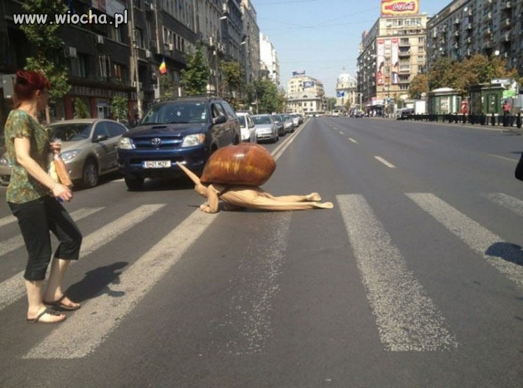 Ślimak,