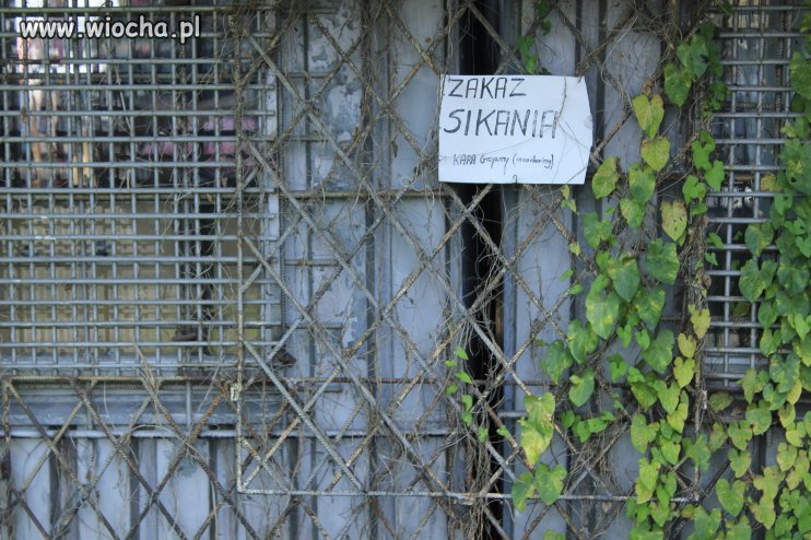 ZAKAZ SIKANIA 