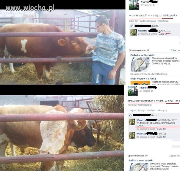 Spotkanie z bykiem w realu 