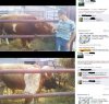 Spotkanie z bykiem w realu 