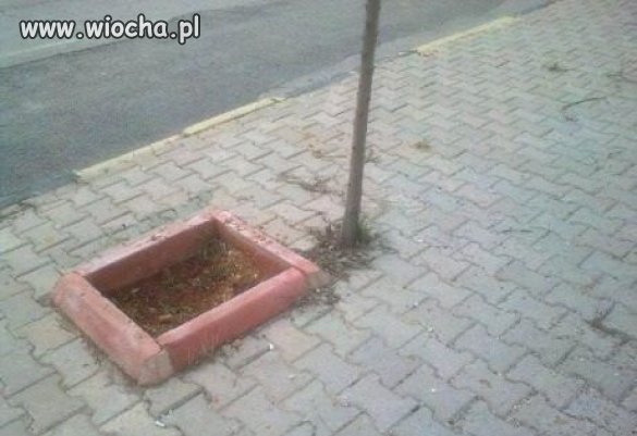 WTF ?