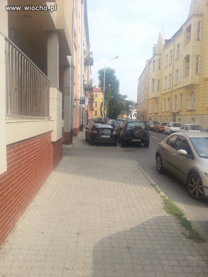 Mistrz parkowania