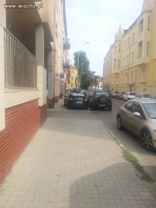 Mistrz parkowania
