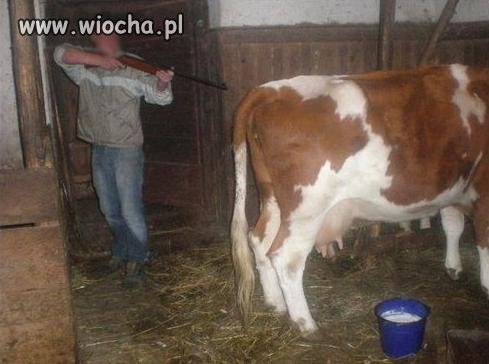 Podczas uboju?!