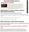 Możemy zabijać i gwałcić..