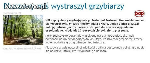 Pluszowy postrach