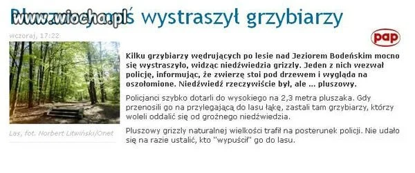 Pluszowy postrach