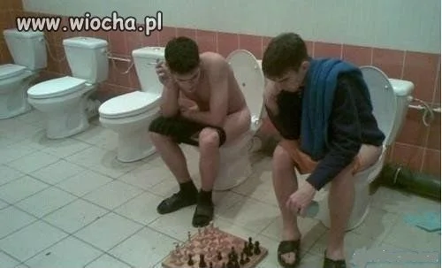 Szachiści z WC