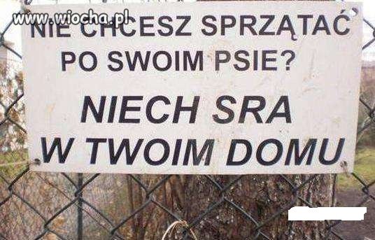 Krótko szczerze...