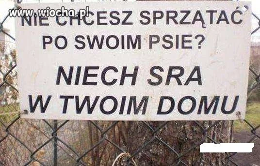 Krótko szczerze...