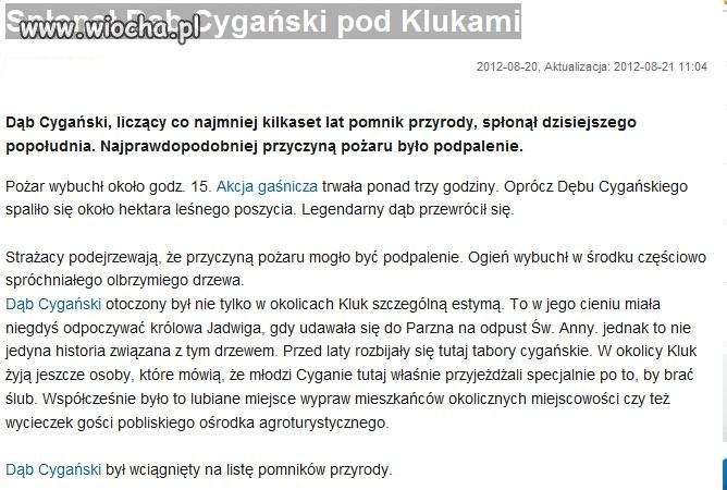Dibili się nie sieje