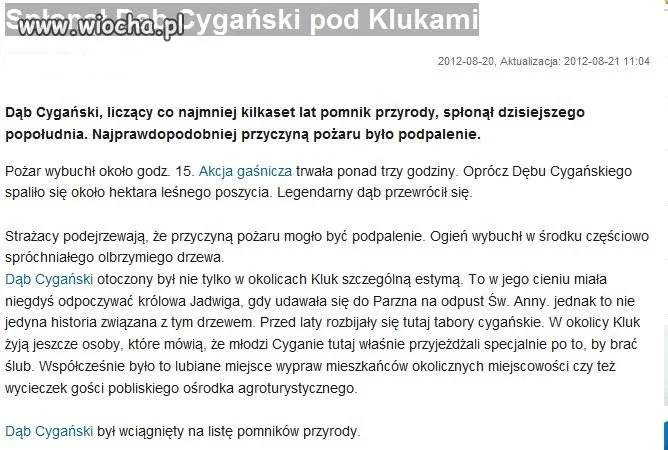 Dibili się nie sieje