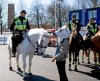 Rozmowa z kierowcą w czasie jazdy