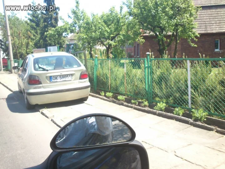 Mistrz parkowania 