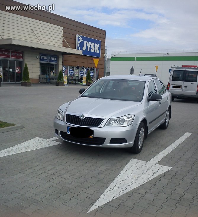 Mistrz kierownicy