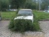 To się nazywa wrosnąć w otoczenie.