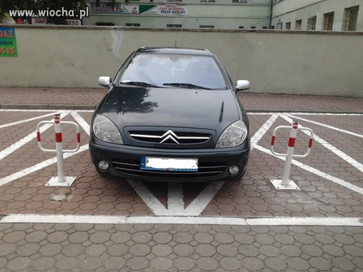 Mistrz parkowania