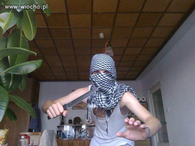 Ninja