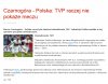 TVP to gnoje i pazerne świnie