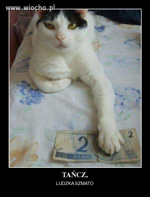 Opis tego zdjęcia 