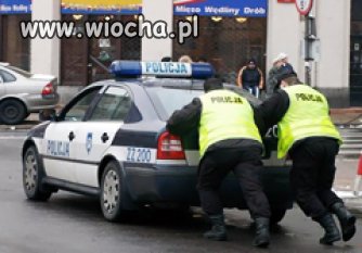 Polska policja