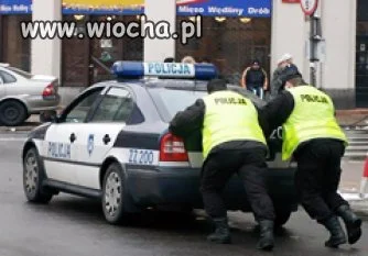 Polska policja