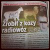 Bezmózgi sadysta