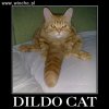 Dildo Cat...