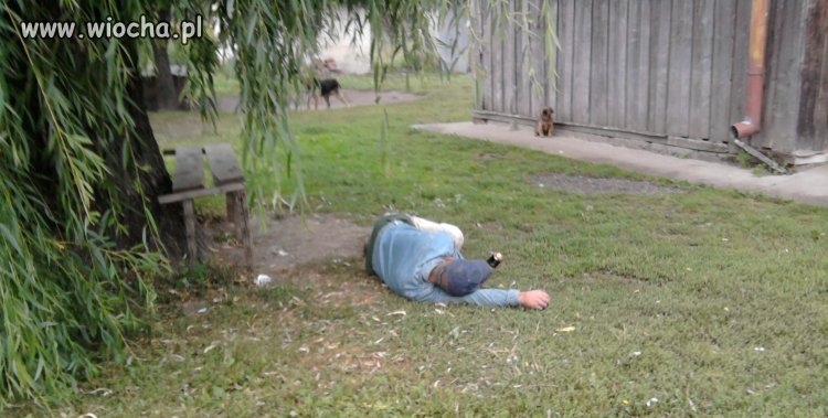 Nie ma to jak dobrze pochlać na czyjejś  posesji.