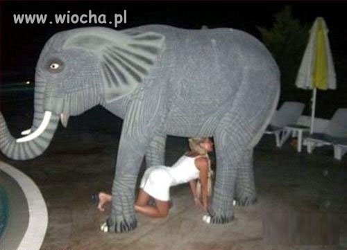 Kochanie zrób mi focię jak niby słoniowi...