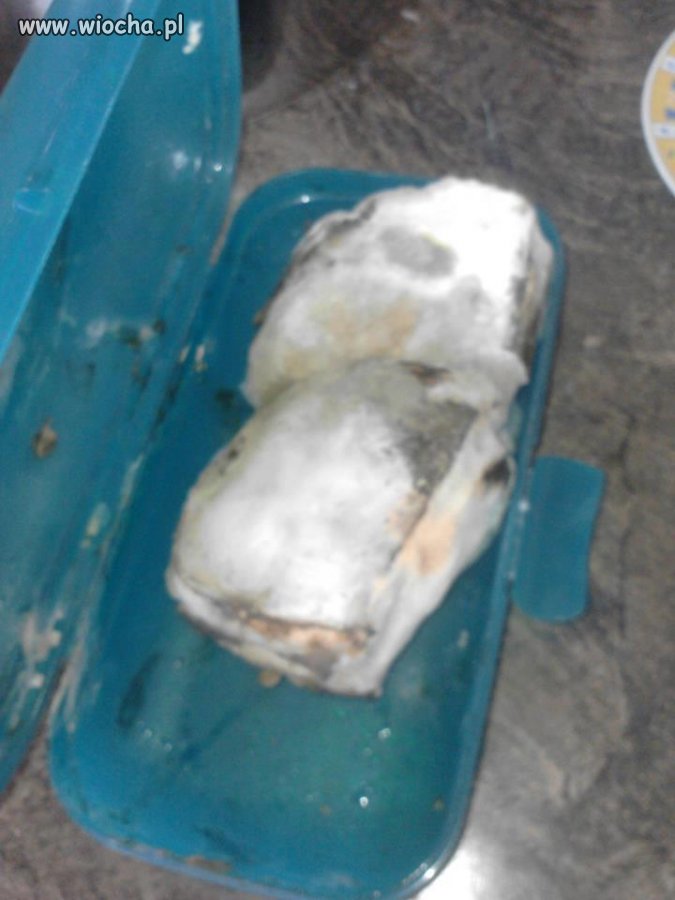Mmm.. pychota