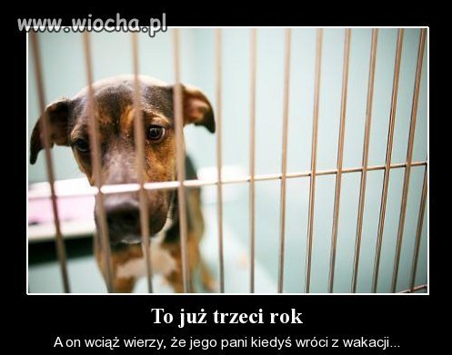 Człowieka nie można nazwać człowiekiem..