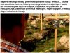 Uśmiercony na papierze