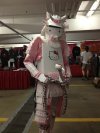 Pink Warrior