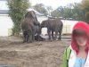 Z wizytą w ZOO