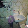 Nie tylko "Polak potrafi"