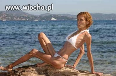 Syrenka