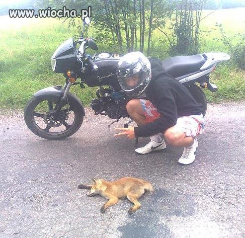 Idiota ma się czym chwalić