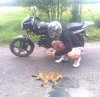 Idiota ma się czym chwalić
