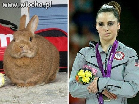 Znajdź 3 różnice