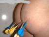 Dart-tarcza 3D
