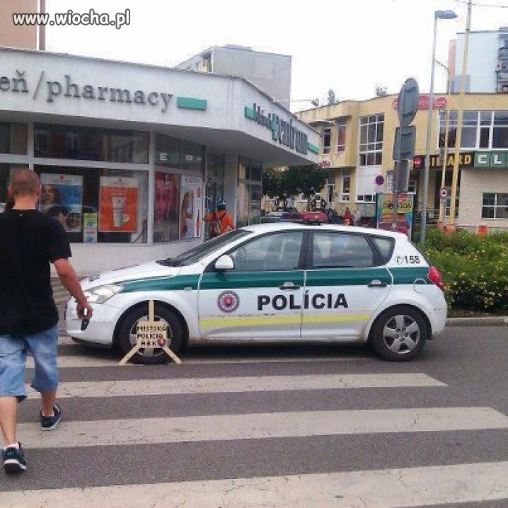 To się zdziwią jak wrócą