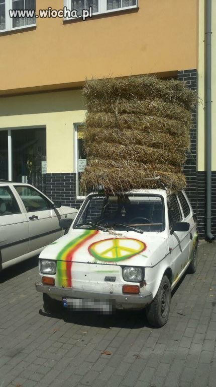Maluch na słomę