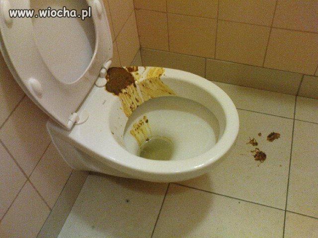 Zwierzęta...