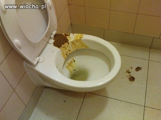Zwierzęta...